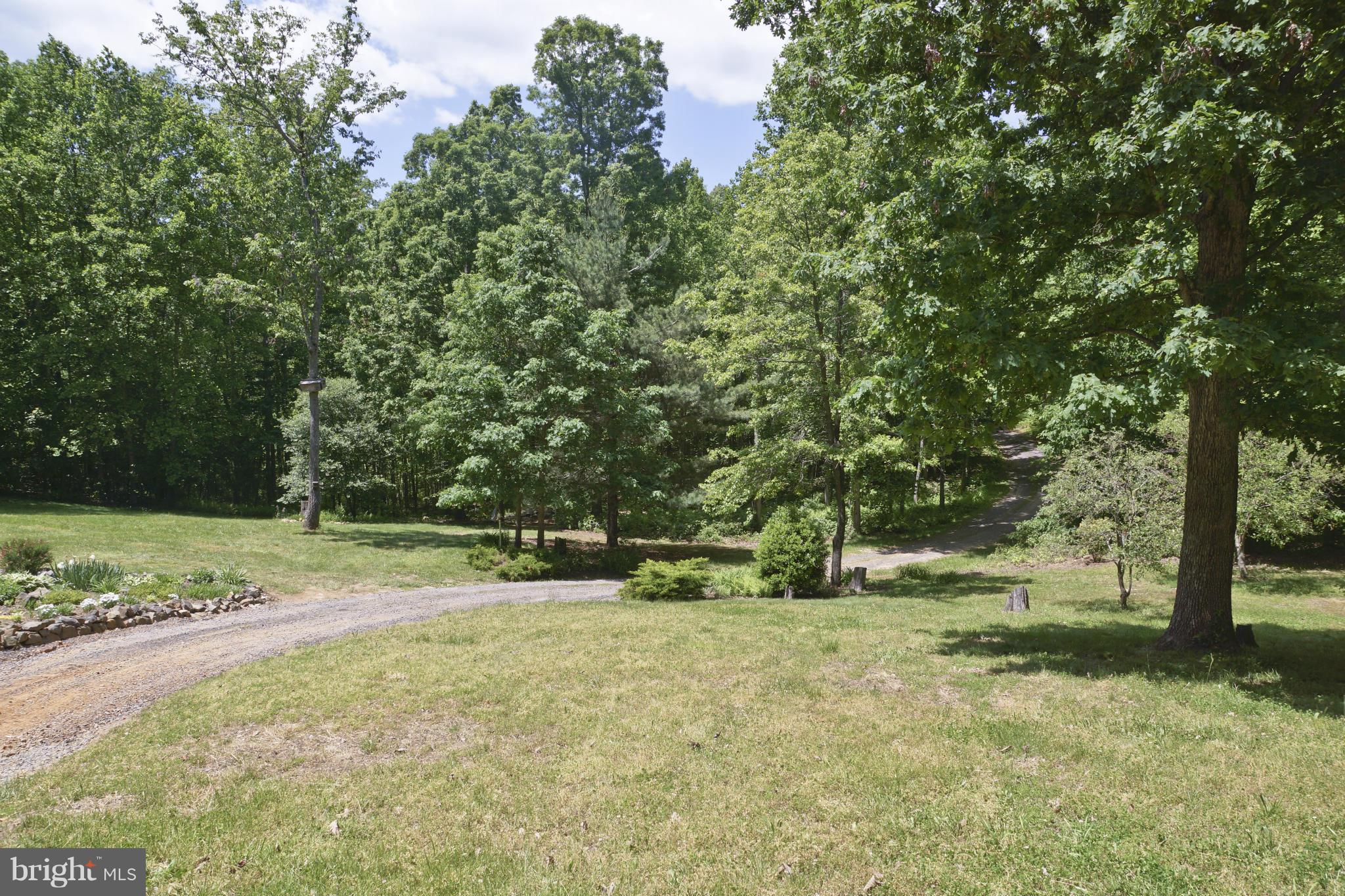11207 Rock Spring Drive Rixeyville, VA 22737 - Photo 3 of 30 Exterior (Front)