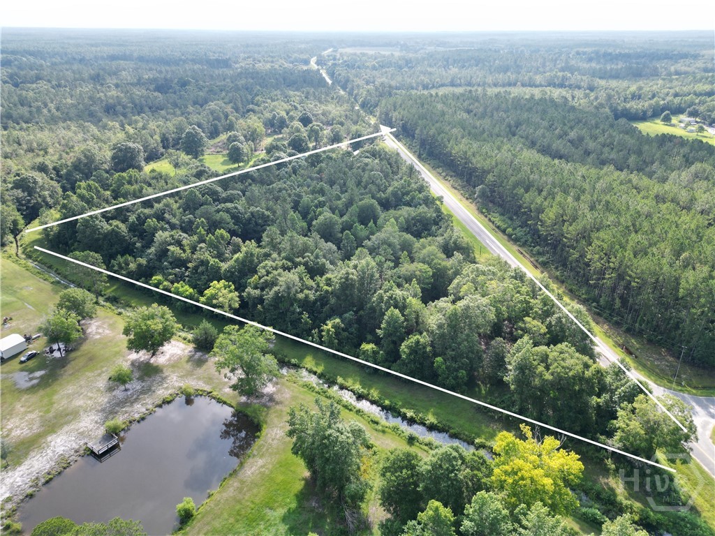 0 Hodges Road Hinesville, GA 31313 - Photo 2 of 9 Gallery Image 2