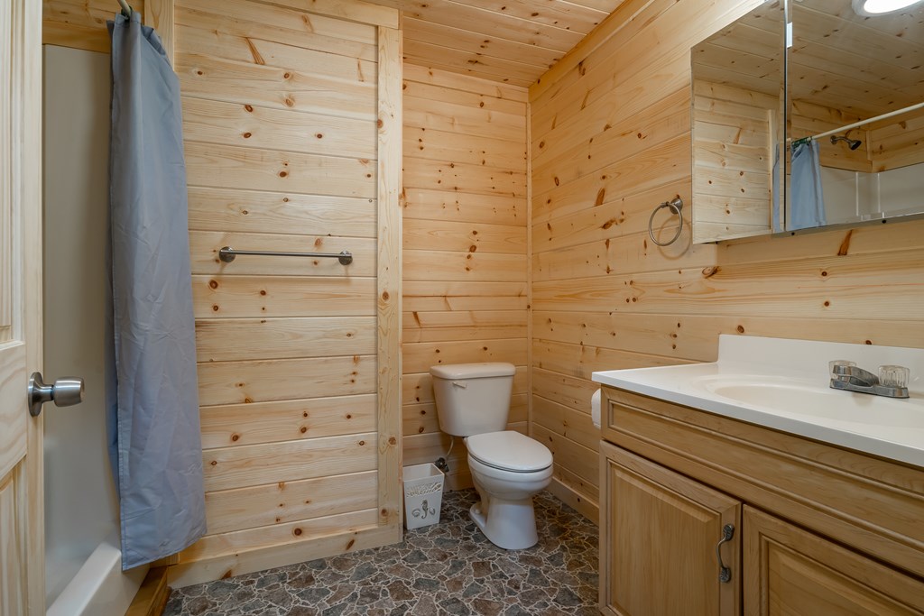 209 Jordan Drive Blue Ridge, GA 30513 - Photo 20 of 50
