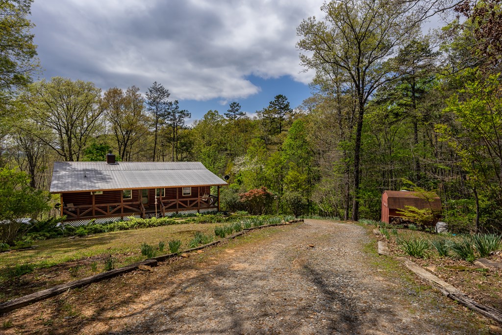 209 Jordan Drive Blue Ridge, GA 30513 - Photo 29 of 50