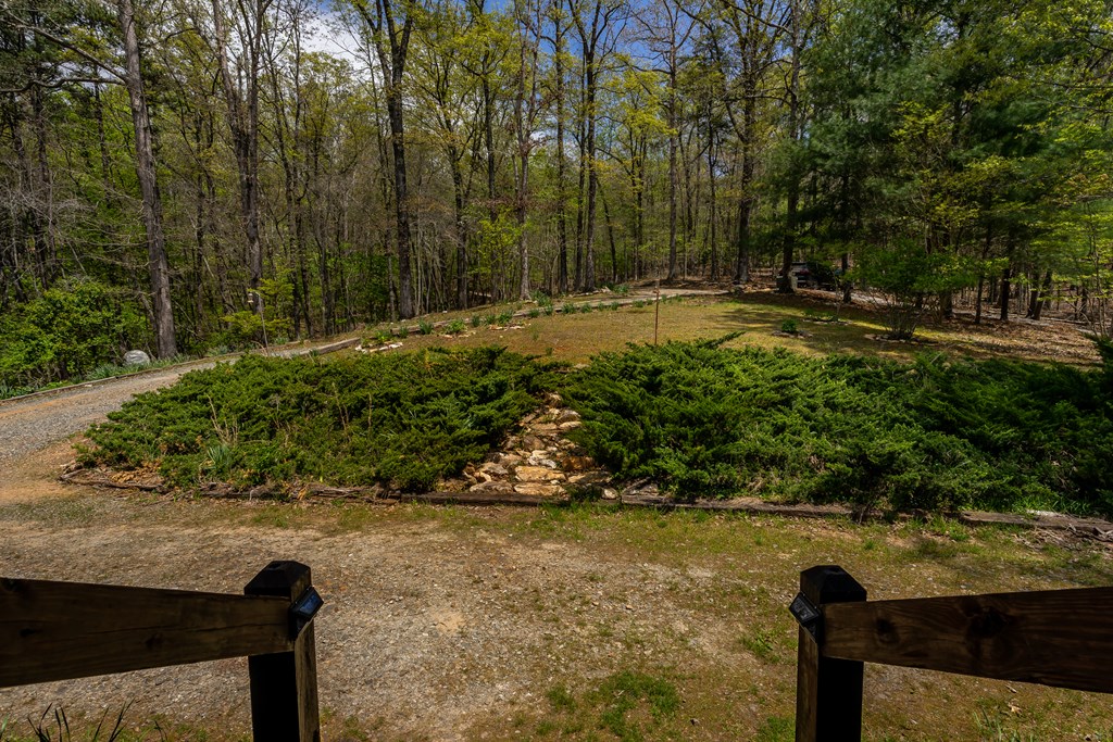 209 Jordan Drive Blue Ridge, GA 30513 - Photo 35 of 50