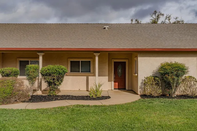 a view of a dry yard with trees
