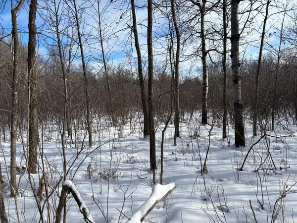 $250,000 | Tbd Arbor Road, Park Rapids, MN 56470