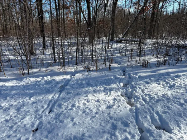 $250,000 | Tbd Arbor Road, Park Rapids, MN 56470