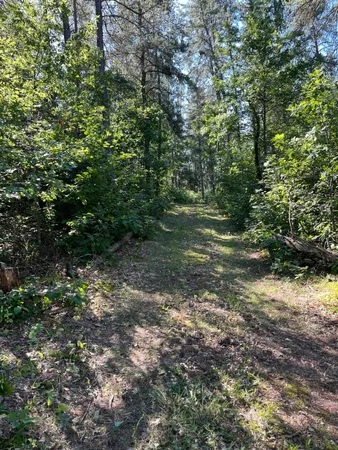 $250,000 | Tbd Arbor Road, Park Rapids, MN 56470
