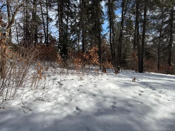 $250,000 | Tbd Arbor Road, Park Rapids, MN 56470