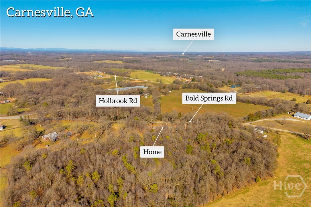3171 Bold Springs Road Carnesville, GA 30521 - Photo 49 of 51
