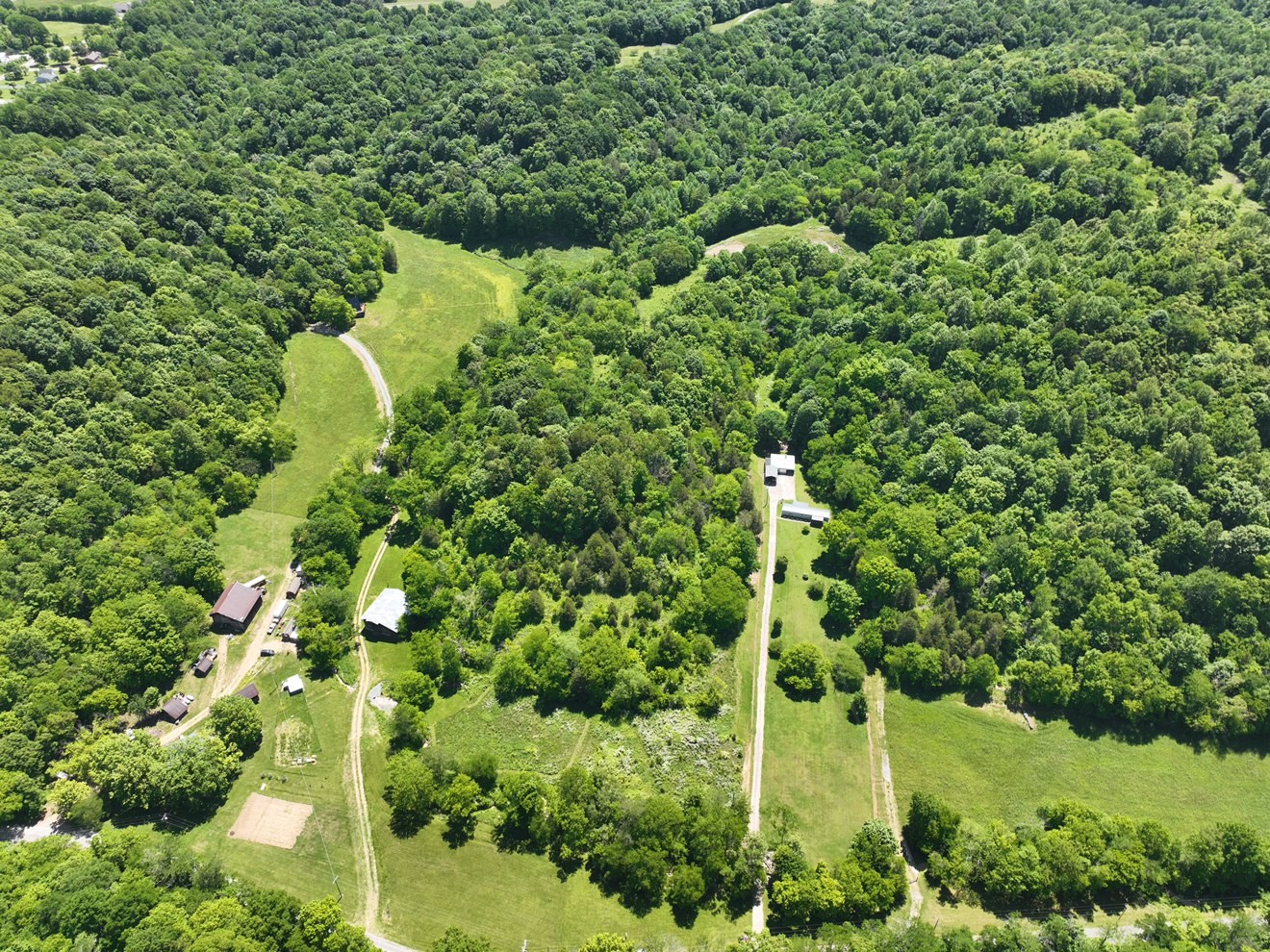 a view of a garden with plants