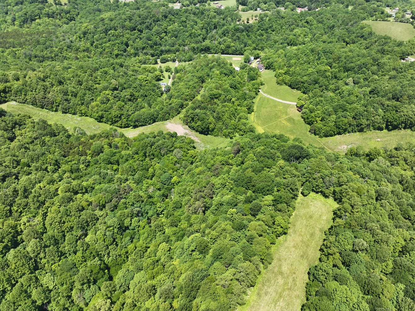 0 Cedar Bluff Road Lafayette, TN 37083 - Photo 13 of 17 a view of a garden with plants
