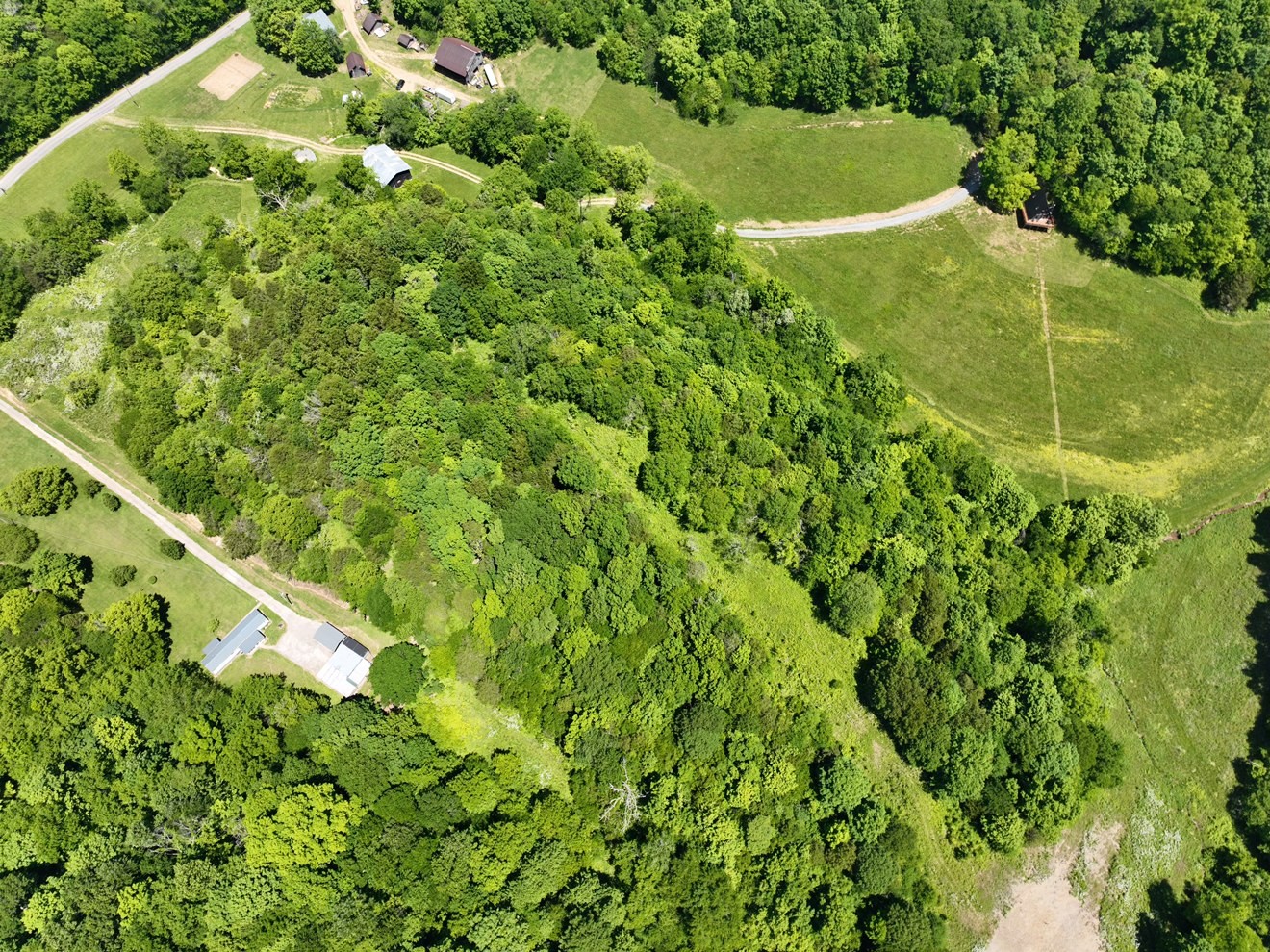 0 Cedar Bluff Road Lafayette, TN 37083 - Photo 14 of 17 a view of a field with plants