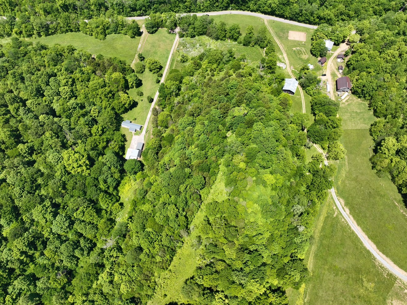 0 Cedar Bluff Road Lafayette, TN 37083 - Photo 15 of 17 a view of a large yard with plants and large trees