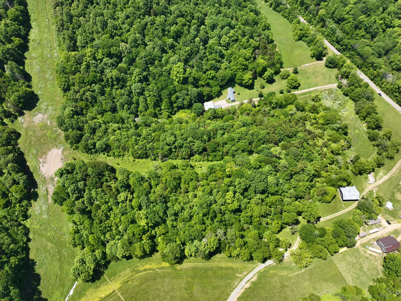 0 Cedar Bluff Road Lafayette, TN 37083 - Photo 16 of 17 a view of a lush green forest