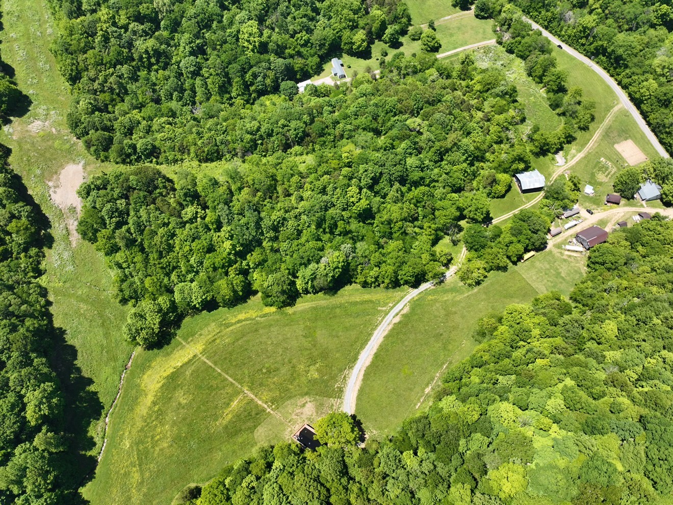 0 Cedar Bluff Road Lafayette, TN 37083 - Photo 17 of 17 a view of a large trees