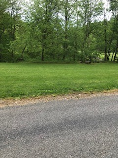 0 Cedar Bluff Road Lafayette, TN 37083 - Photo 3 of 17 a view of a yard with a trees