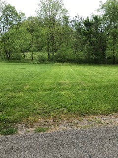 0 Cedar Bluff Road Lafayette, TN 37083 - Photo 5 of 17 a view of a yard with a trees