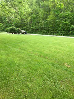 0 Cedar Bluff Road Lafayette, TN 37083 - Photo 6 of 17 a view of yard with green field