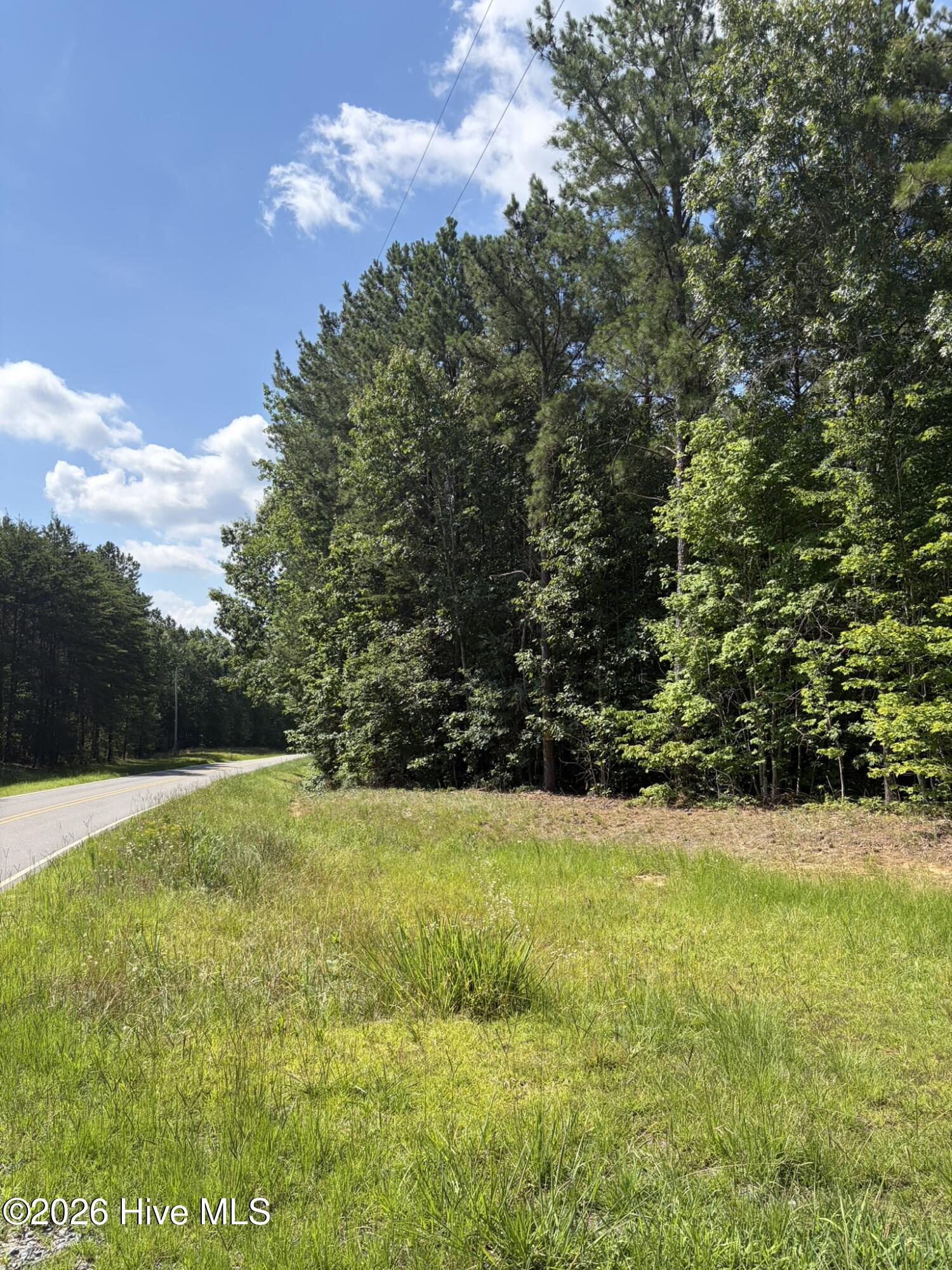 Tbd Green Road Ellerbe, NC 28338 - Photo 1 of 23