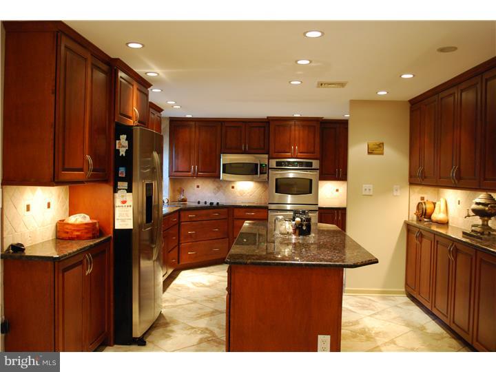 441 Haverford Road Wynnewood, PA 19096 - Photo 7 of 24 Kitchen
