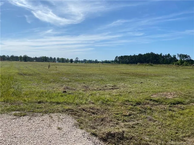 $102,500 | 0 Adron Woodard Road, Deridder, LA 70634