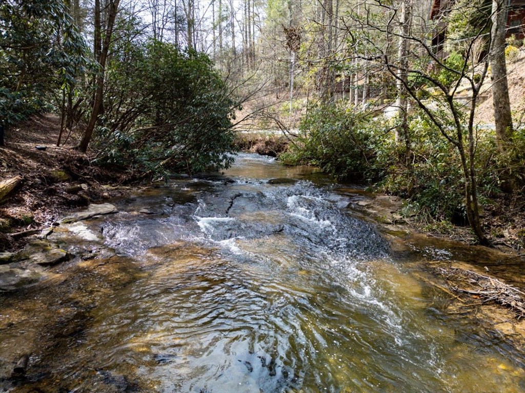 1819 Stanley Creek Road Cherry Log, GA 30522 - Photo 3 of 94 Gallery Image 3