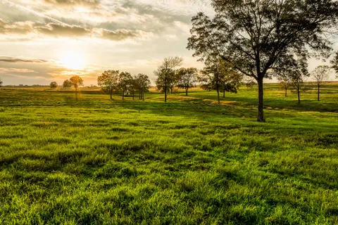 $216,473 | Tbd Tbd Sunshine Court, Chappell Hill, TX 77426