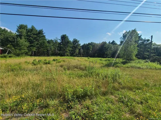a view of a field of grass and trees