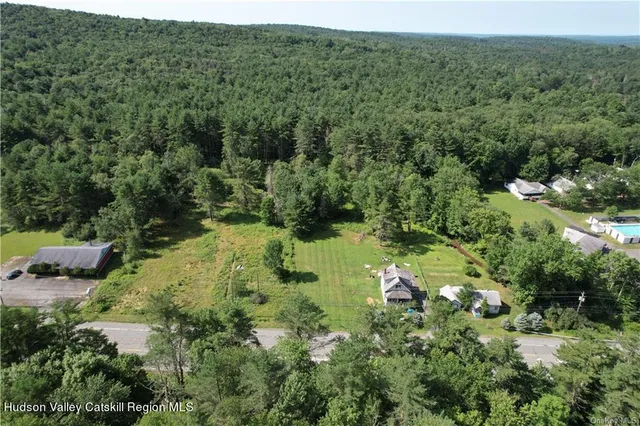 a view of a forest with a houses