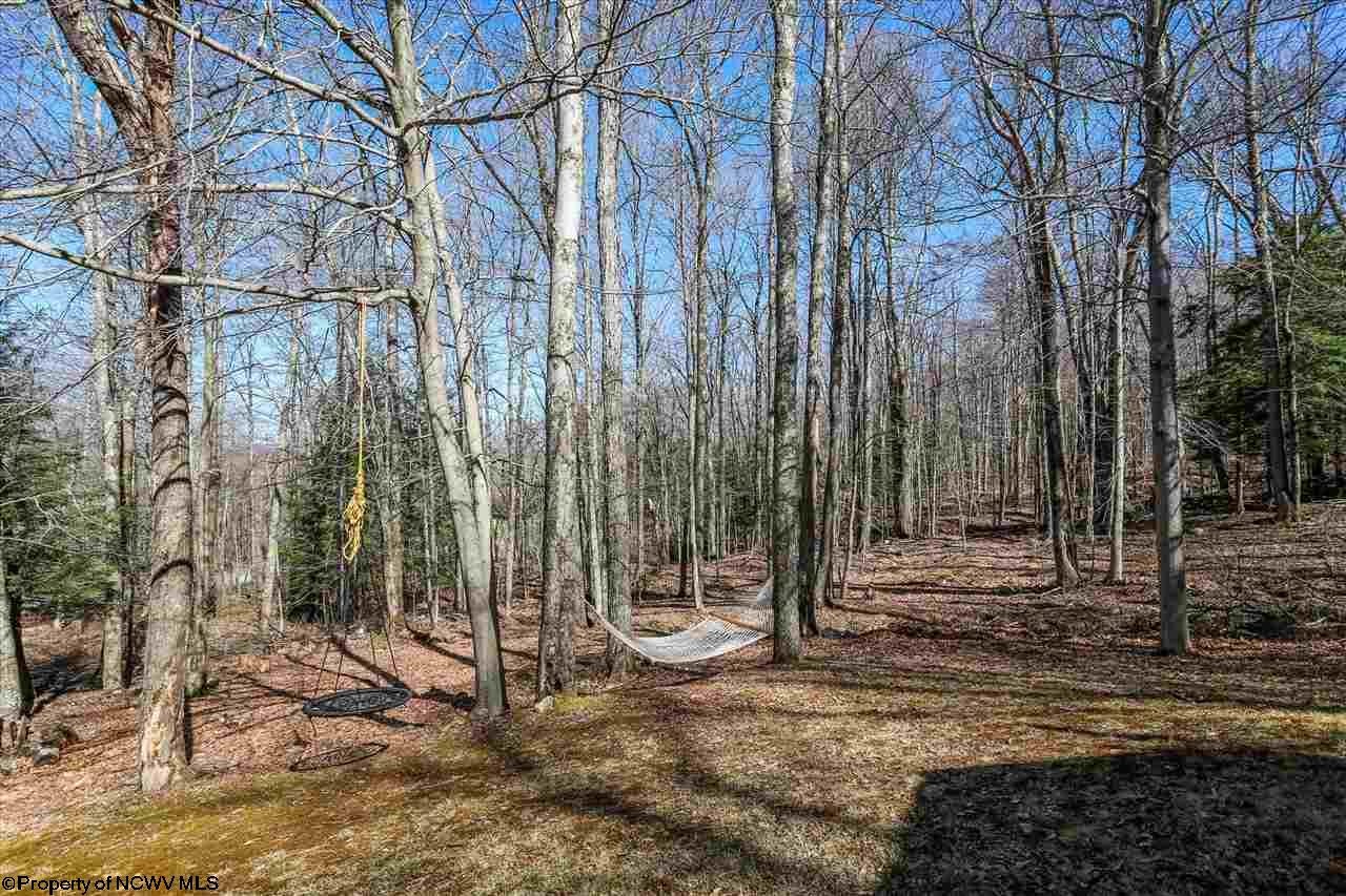 413 Mountainside Road Davis, WV 26260 - Photo 27 of 29 Gallery Image 27