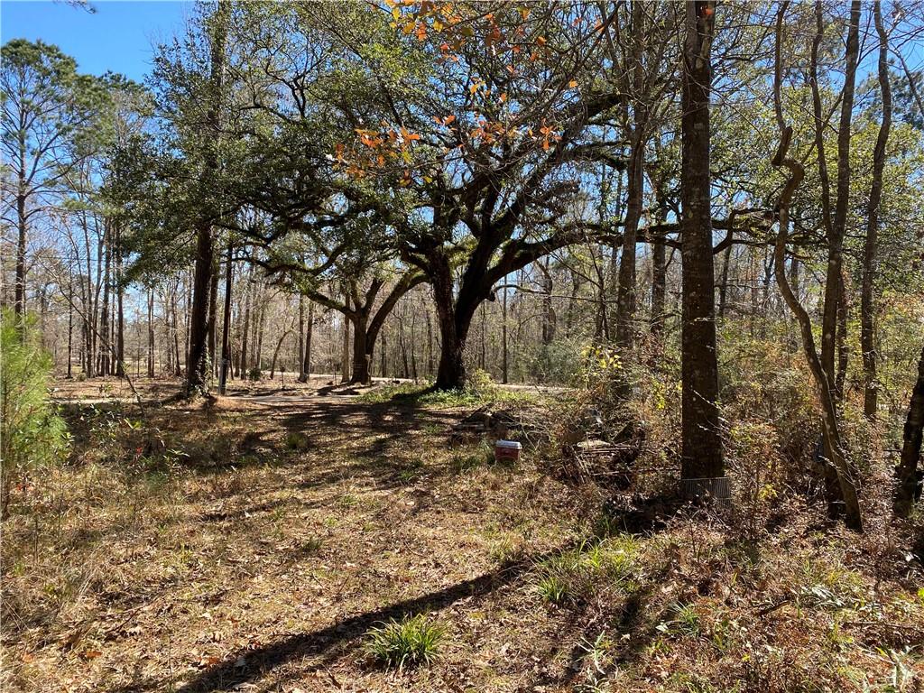 23181 Barnum Road Springfield, LA 70462 - Photo 2 of 9