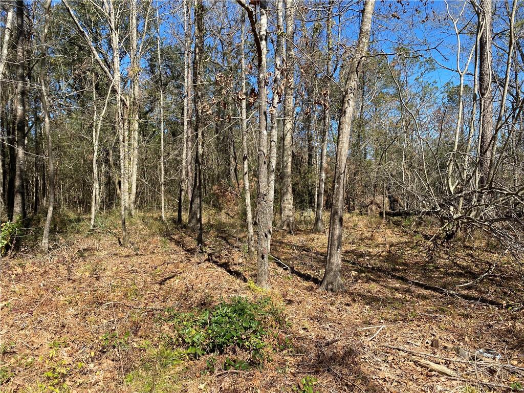 23181 Barnum Road Springfield, LA 70462 - Photo 3 of 9