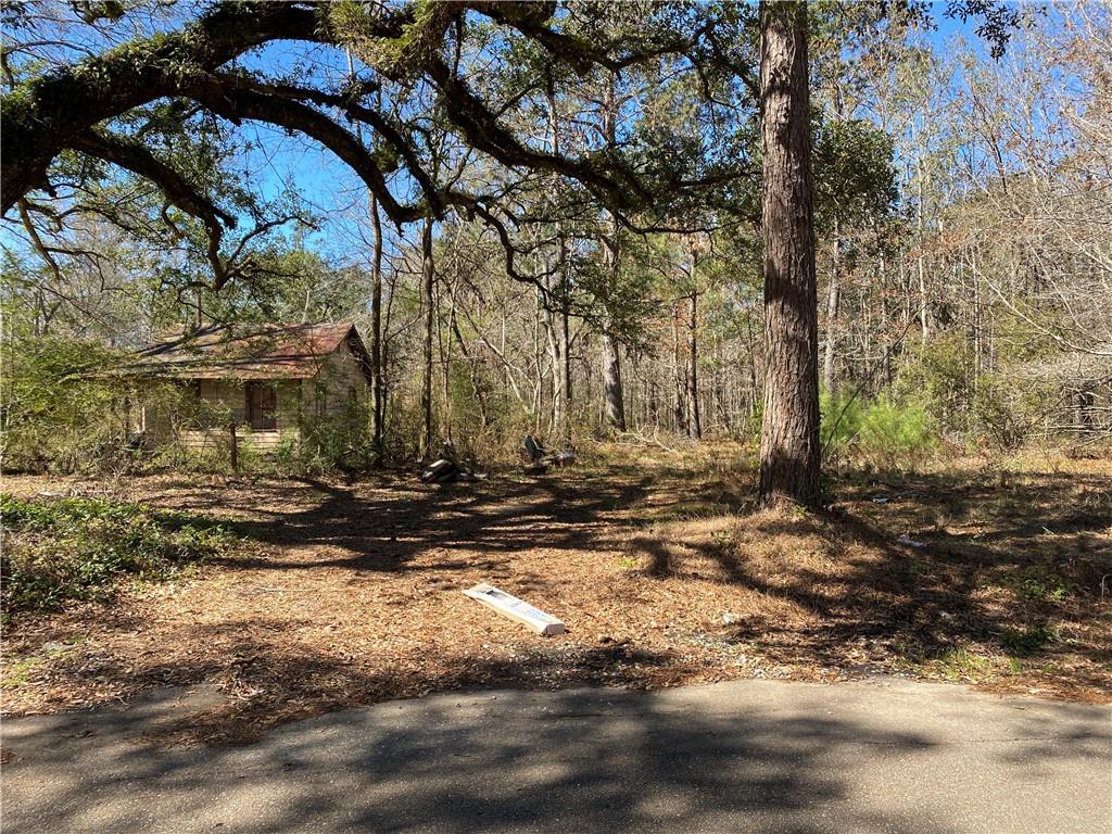 23181 Barnum Road Springfield, LA 70462 - Photo 4 of 9