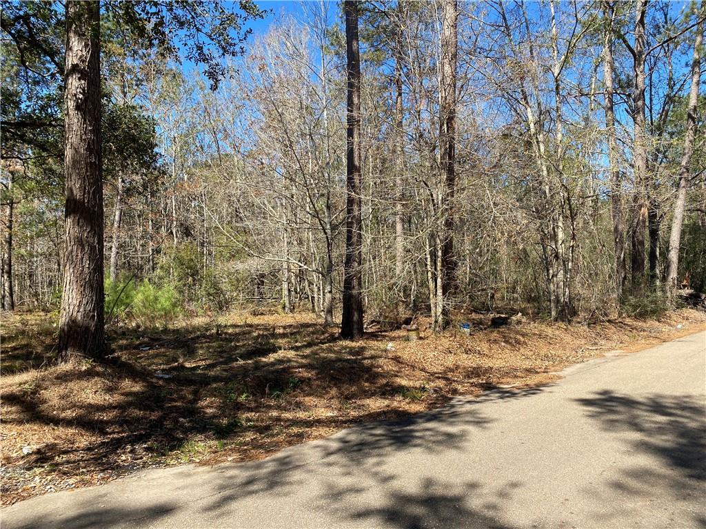 23181 Barnum Road Springfield, LA 70462 - Photo 5 of 9