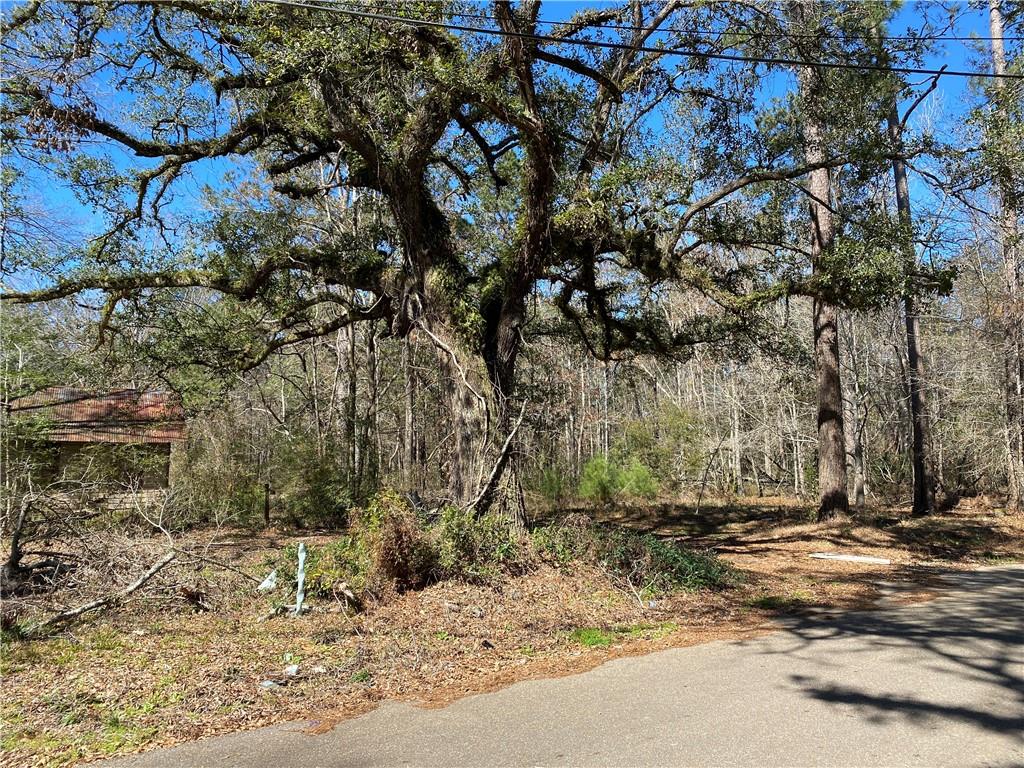 23181 Barnum Road Springfield, LA 70462 - Photo 6 of 9