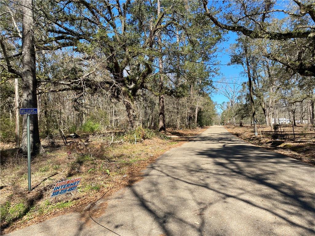 23181 Barnum Road Springfield, LA 70462 - Photo 7 of 9