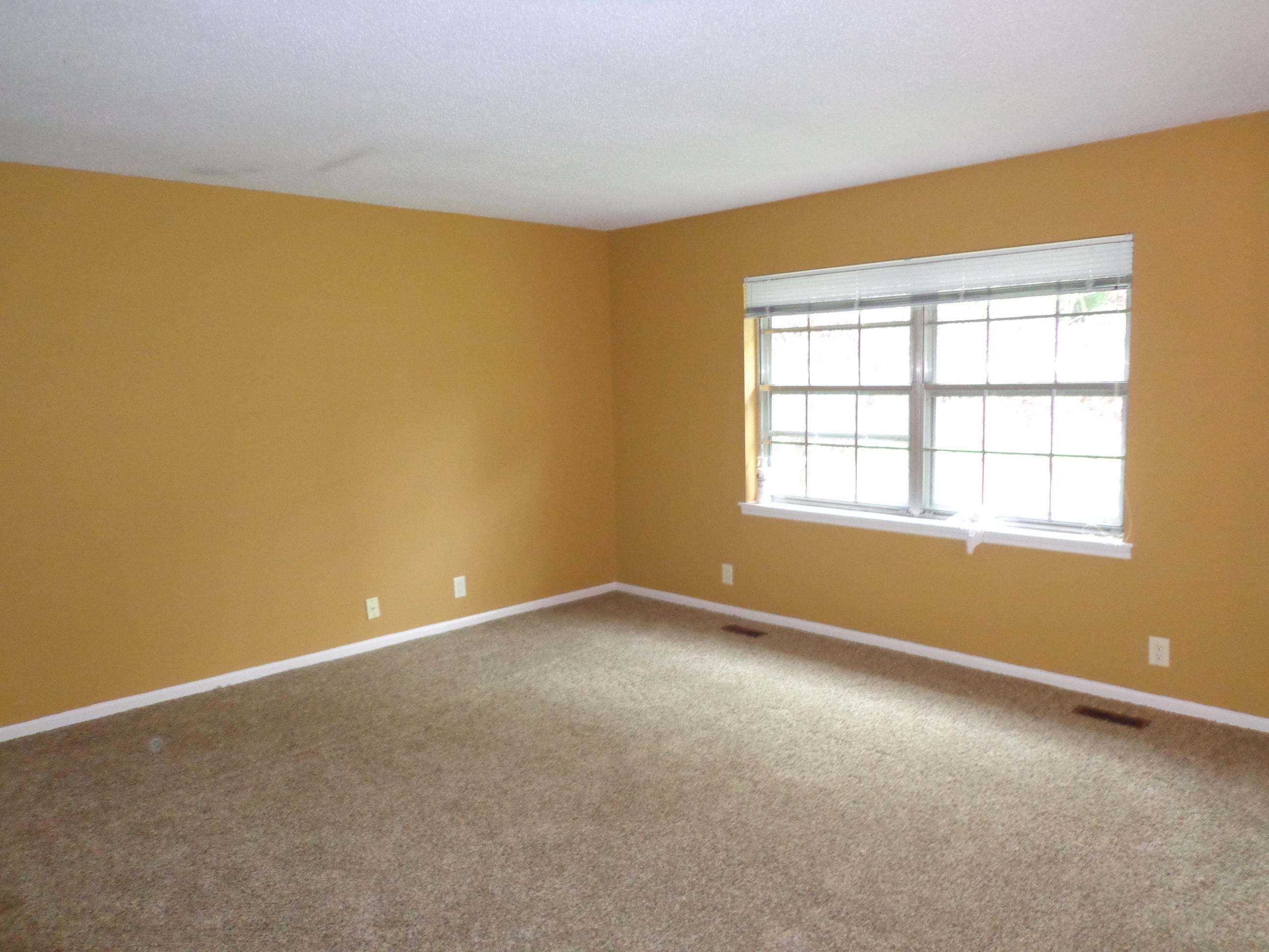 1148 Ridge Top Drive Chattanooga, TN 37421 - Photo 6 of 27 DSC01392