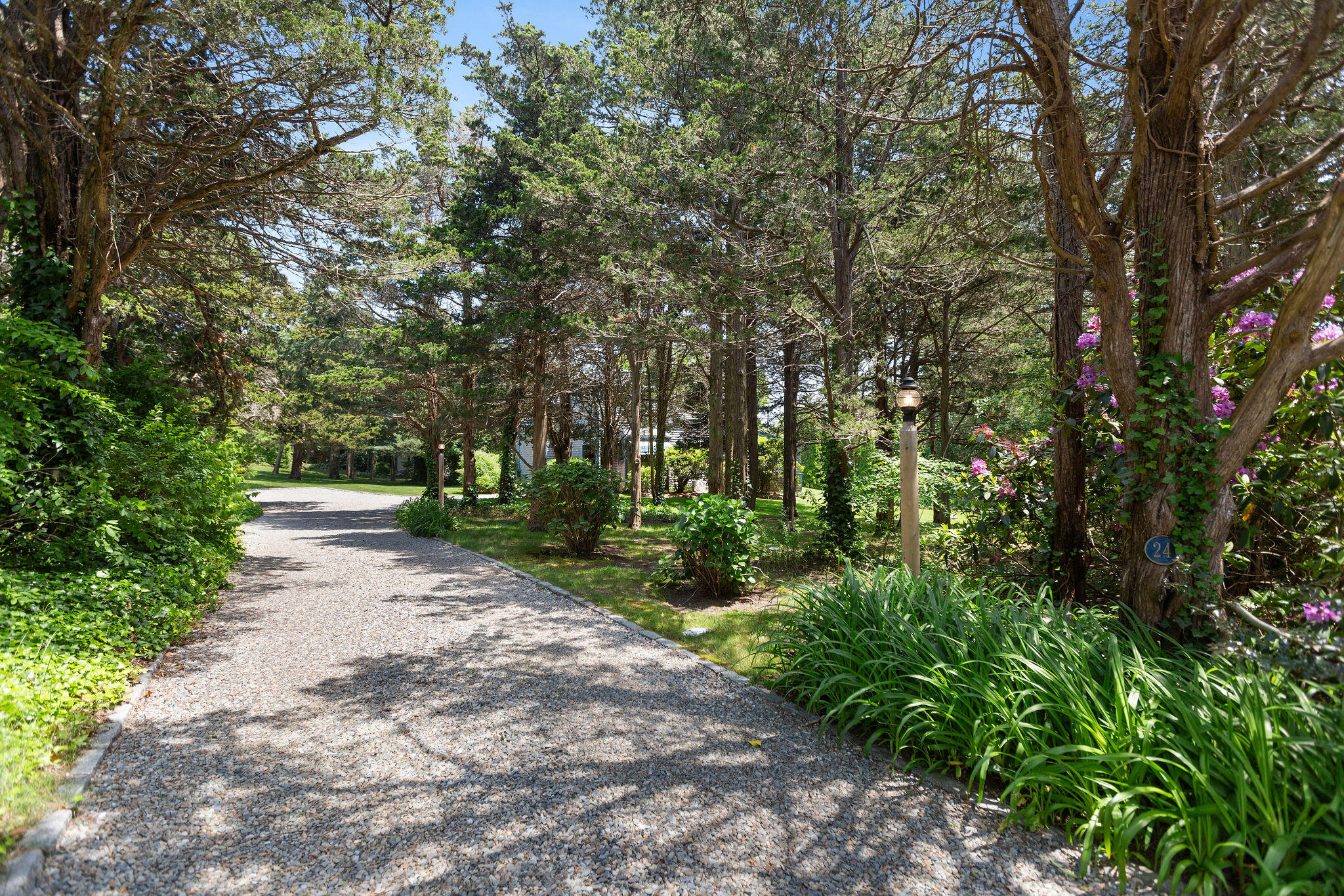 24 Sparrowhawk Road Orleans, MA 02653 - Photo 7 of 40 Driveway