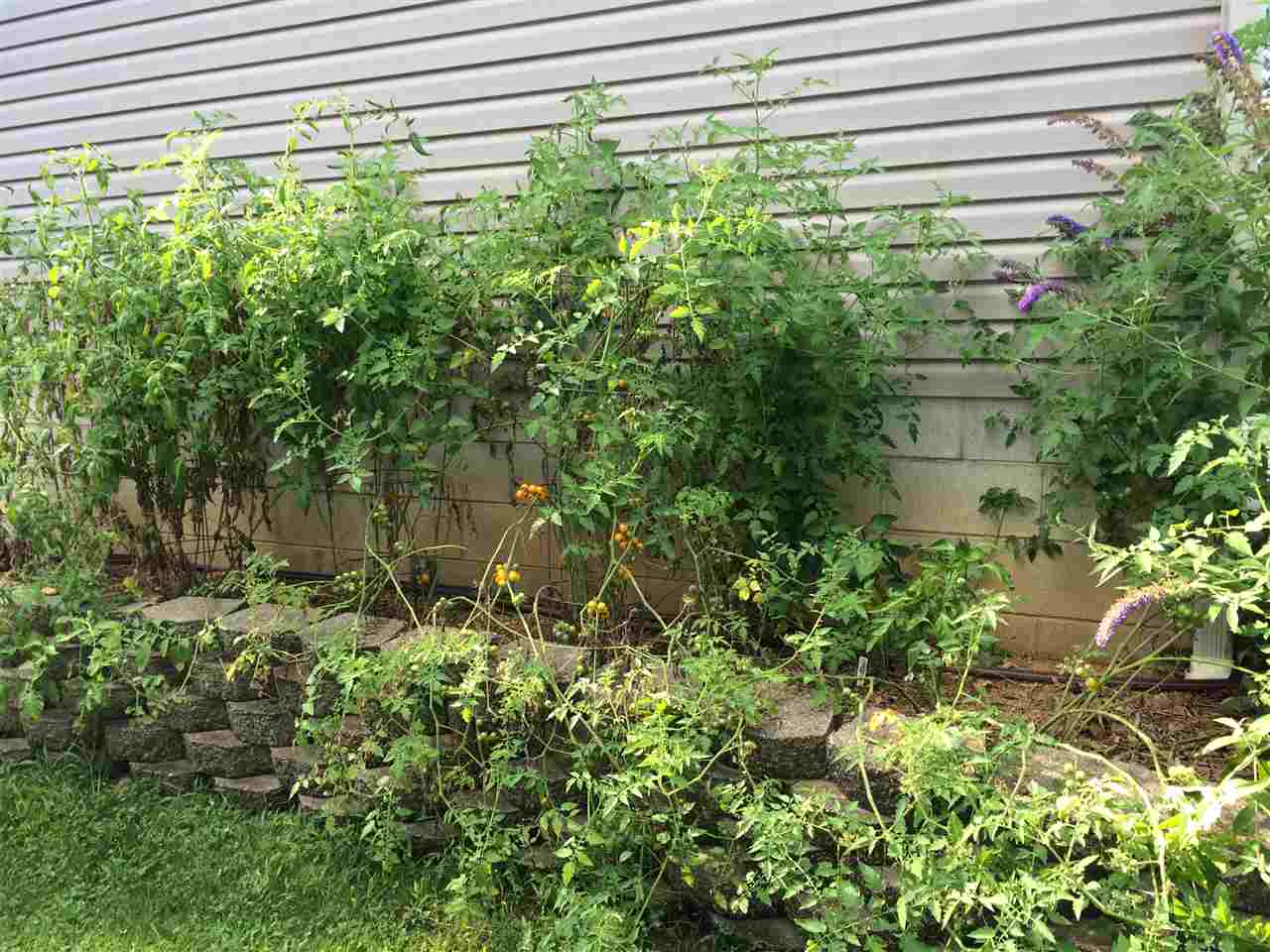 2648 South Danlyn Road Bloomington, IN 47403 - Photo 17 of 19 Gallery Image 17