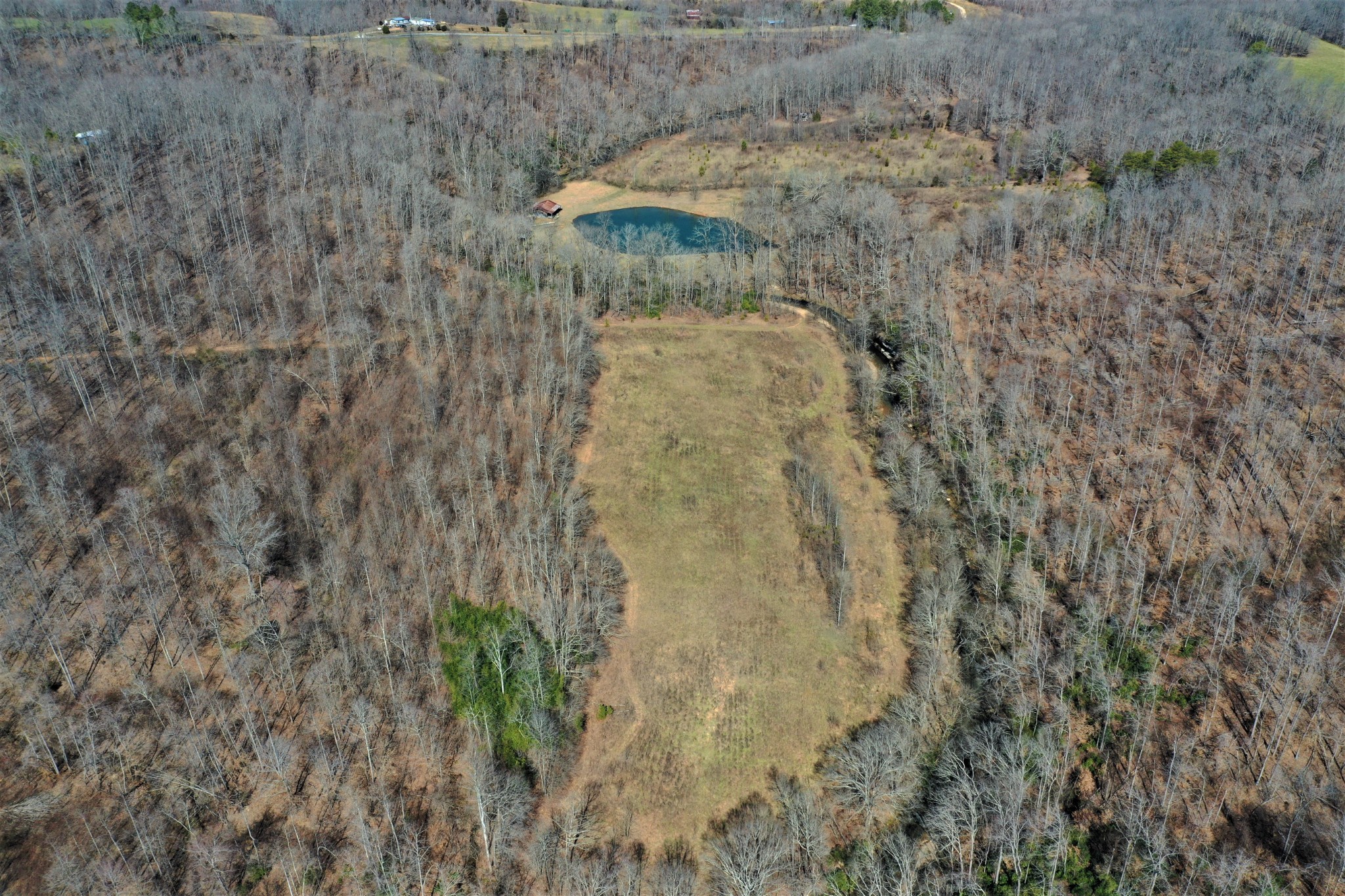 10 Bryant Road Lawrenceburg, TN 38464 - Photo 12 of 18 a view of a dry yard