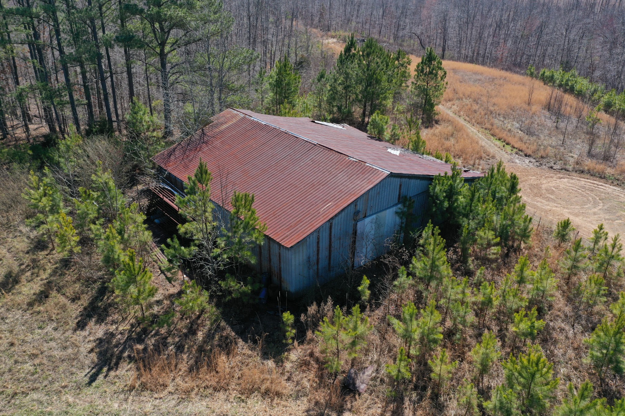 10 Bryant Road Lawrenceburg, TN 38464 - Photo 13 of 18 a view of a backyard