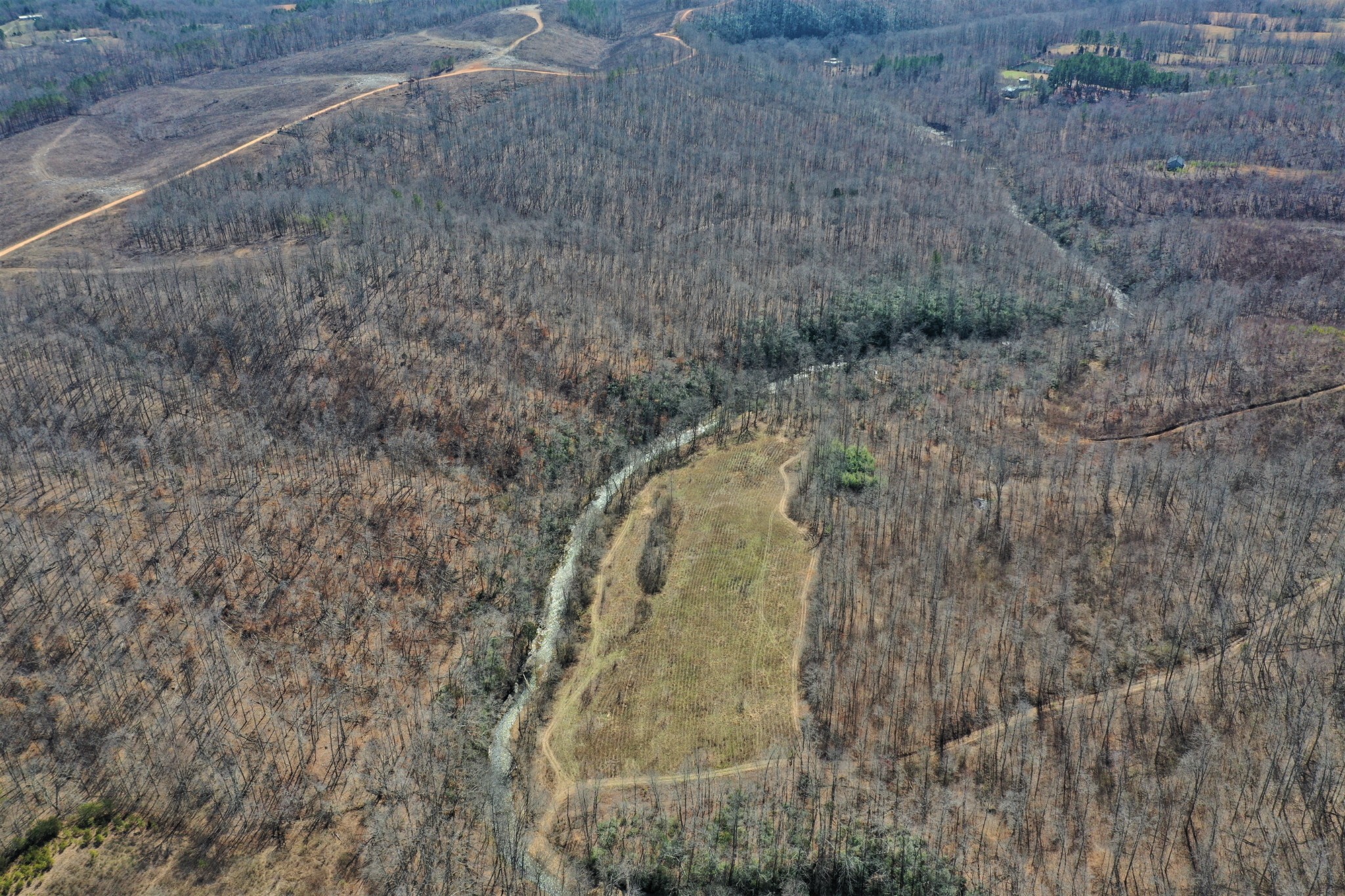 10 Bryant Road Lawrenceburg, TN 38464 - Photo 7 of 18 a view of a dry yard