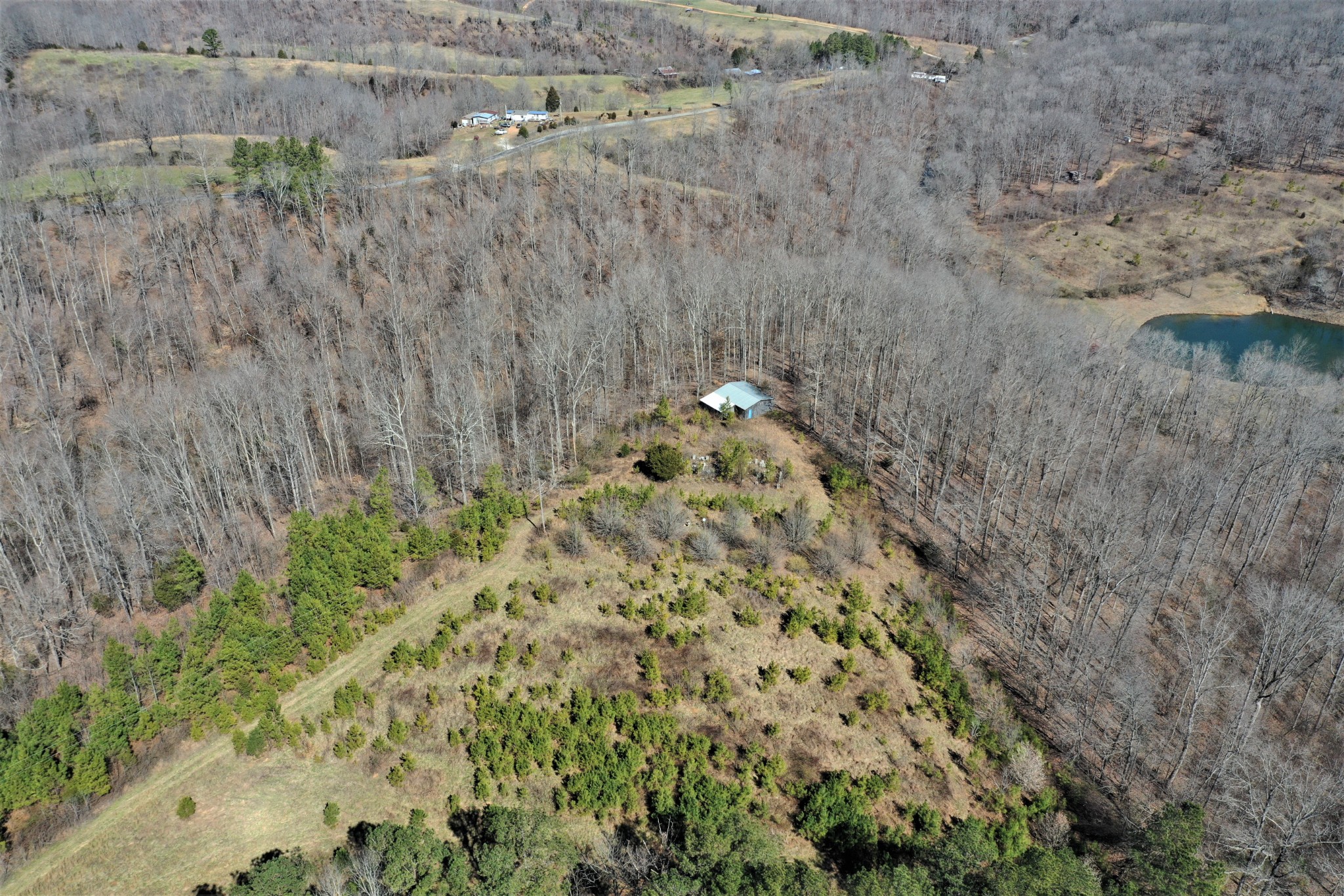 10 Bryant Road Lawrenceburg, TN 38464 - Photo 9 of 18 a view of a yard
