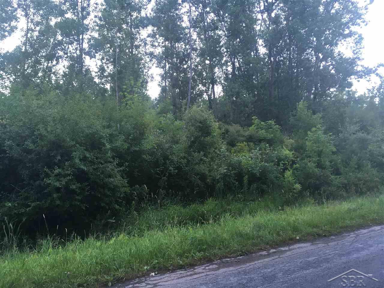 12000 Canada Road Birch Run, MI 48415 - Photo 1 of 4