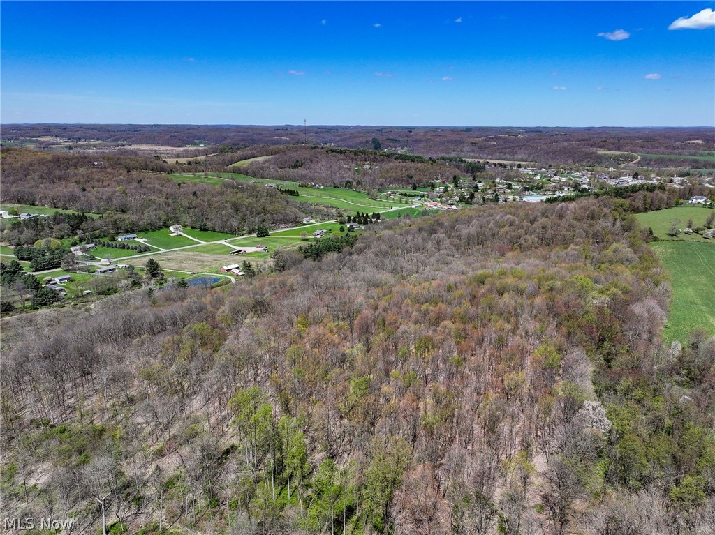 6692 Butler-North Liberty Road Butler, OH 44822 - Photo 14 of 23 View of bird's eye view