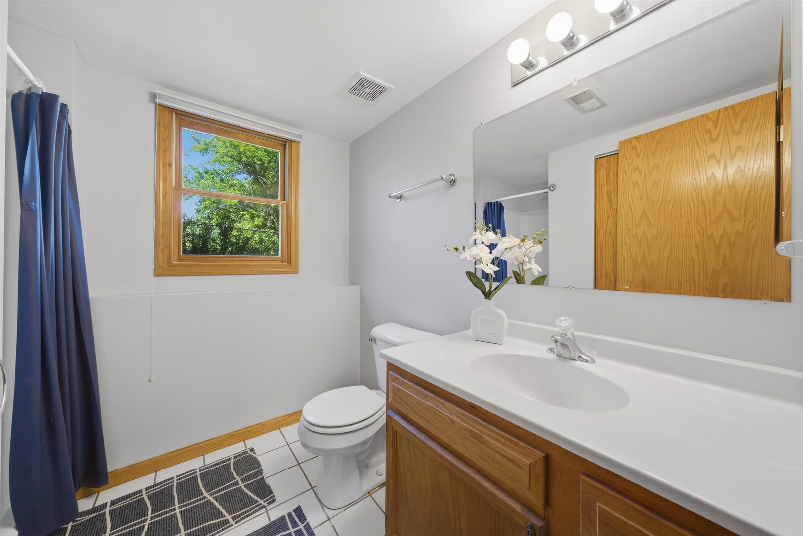 752 Rosanne Street Lockport, IL 60441 - Photo 28 of 32 a bathroom with a sink and a mirror