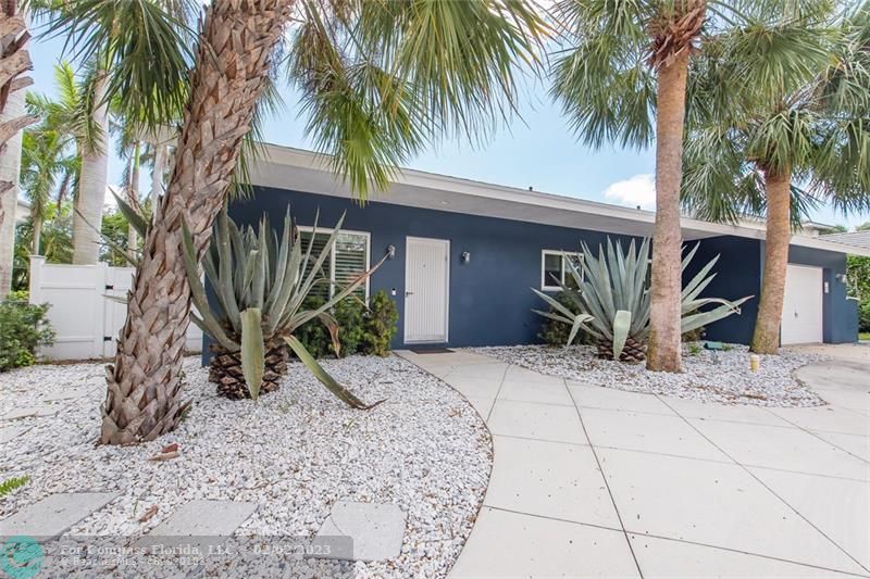 a view of a backyard with a palm trees