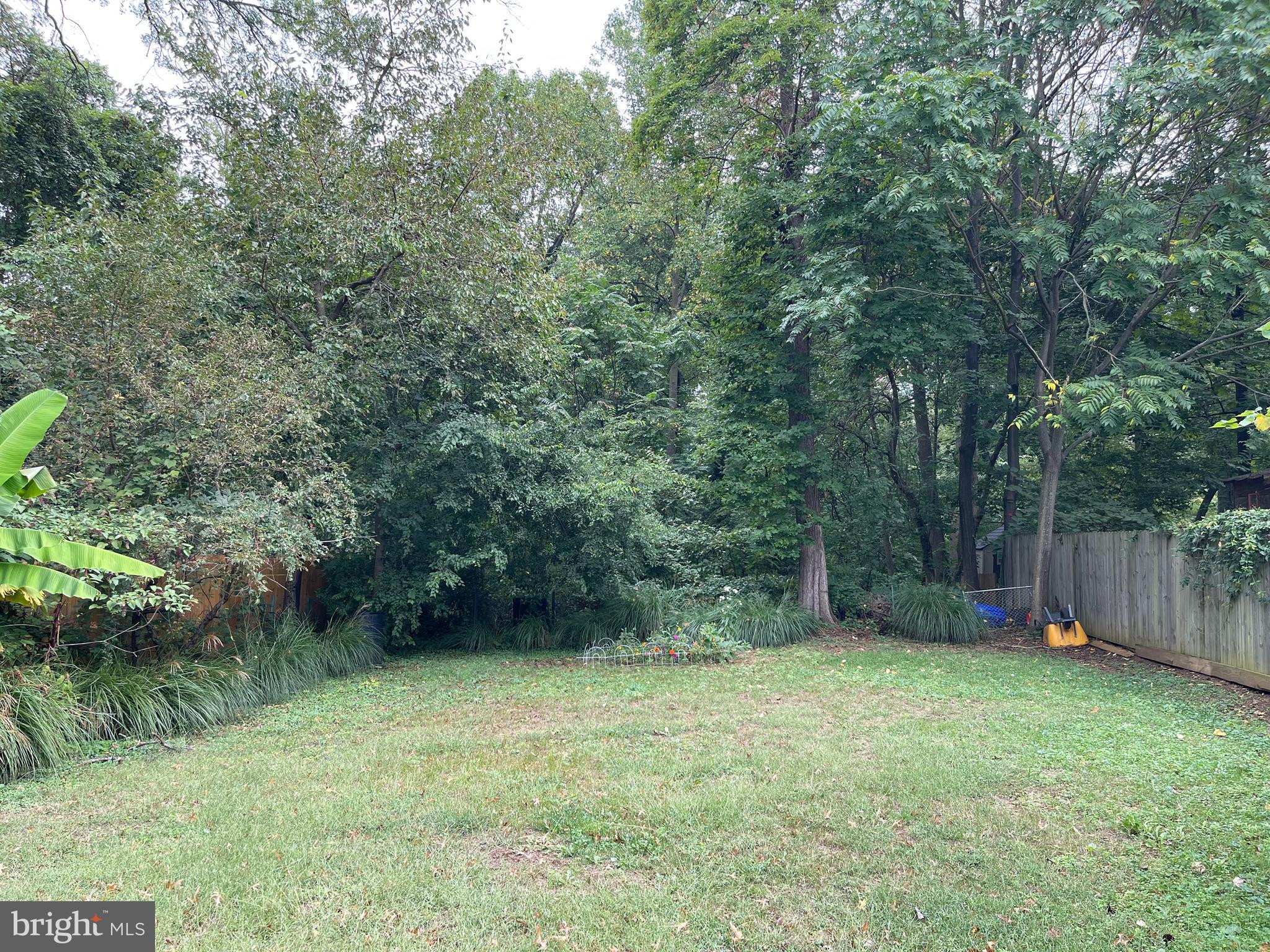43 Silopanna Road, Unit B Annapolis, MD 21403 - Photo 4 of 16 a view of a backyard with a trees