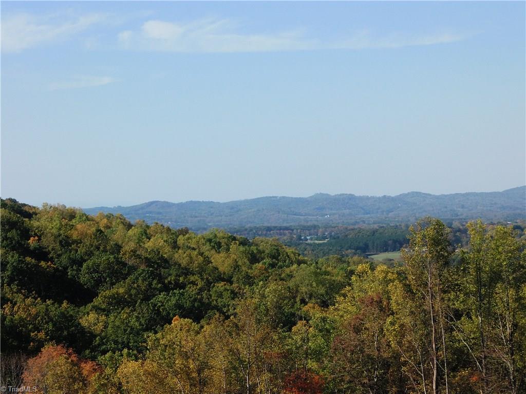 10.64 Cook School Road Pilot Mountain, NC 27041 - Photo 1 of 9 Gallery Image 1