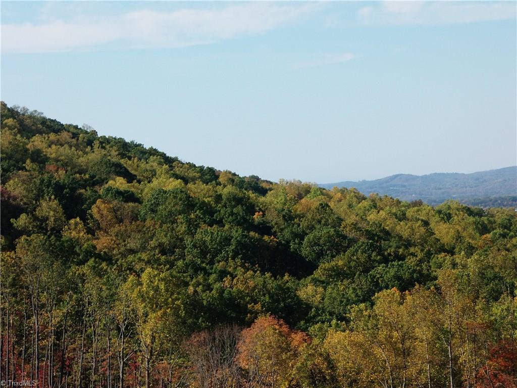 10.64 Cook School Road Pilot Mountain, NC 27041 - Photo 2 of 9 Gallery Image 2