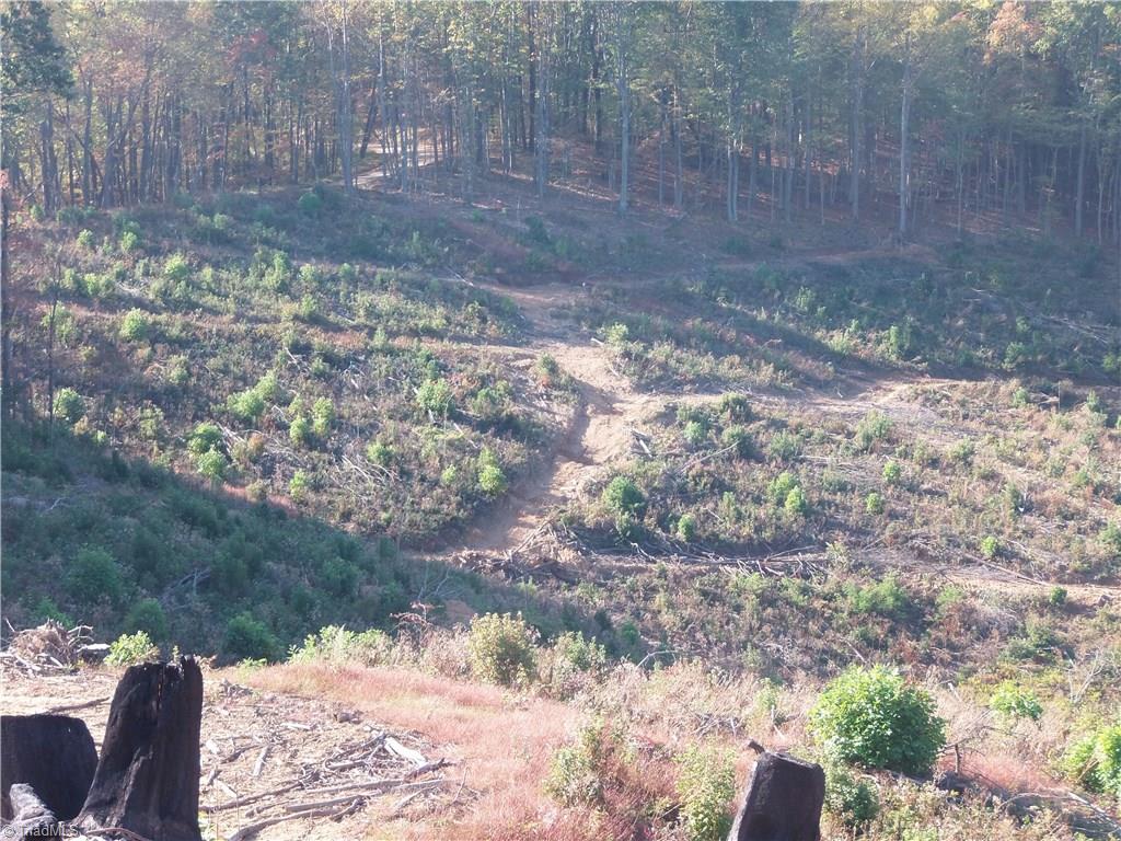 10.64 Cook School Road Pilot Mountain, NC 27041 - Photo 3 of 9 Gallery Image 3