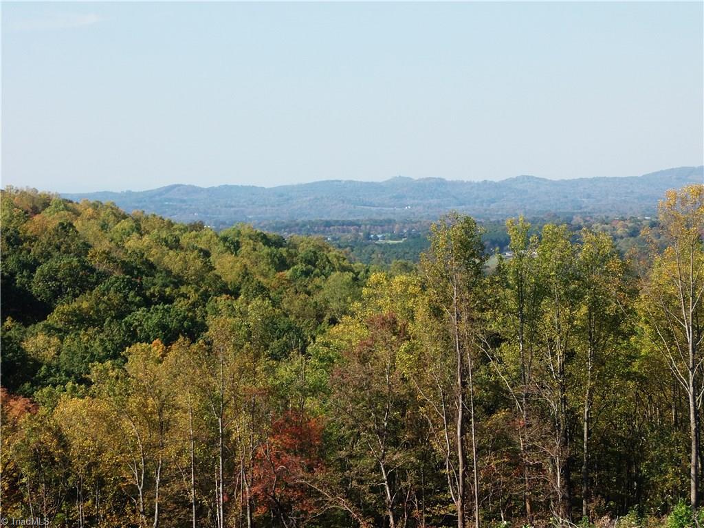 10.64 Cook School Road Pilot Mountain, NC 27041 - Photo 6 of 9 Gallery Image 6